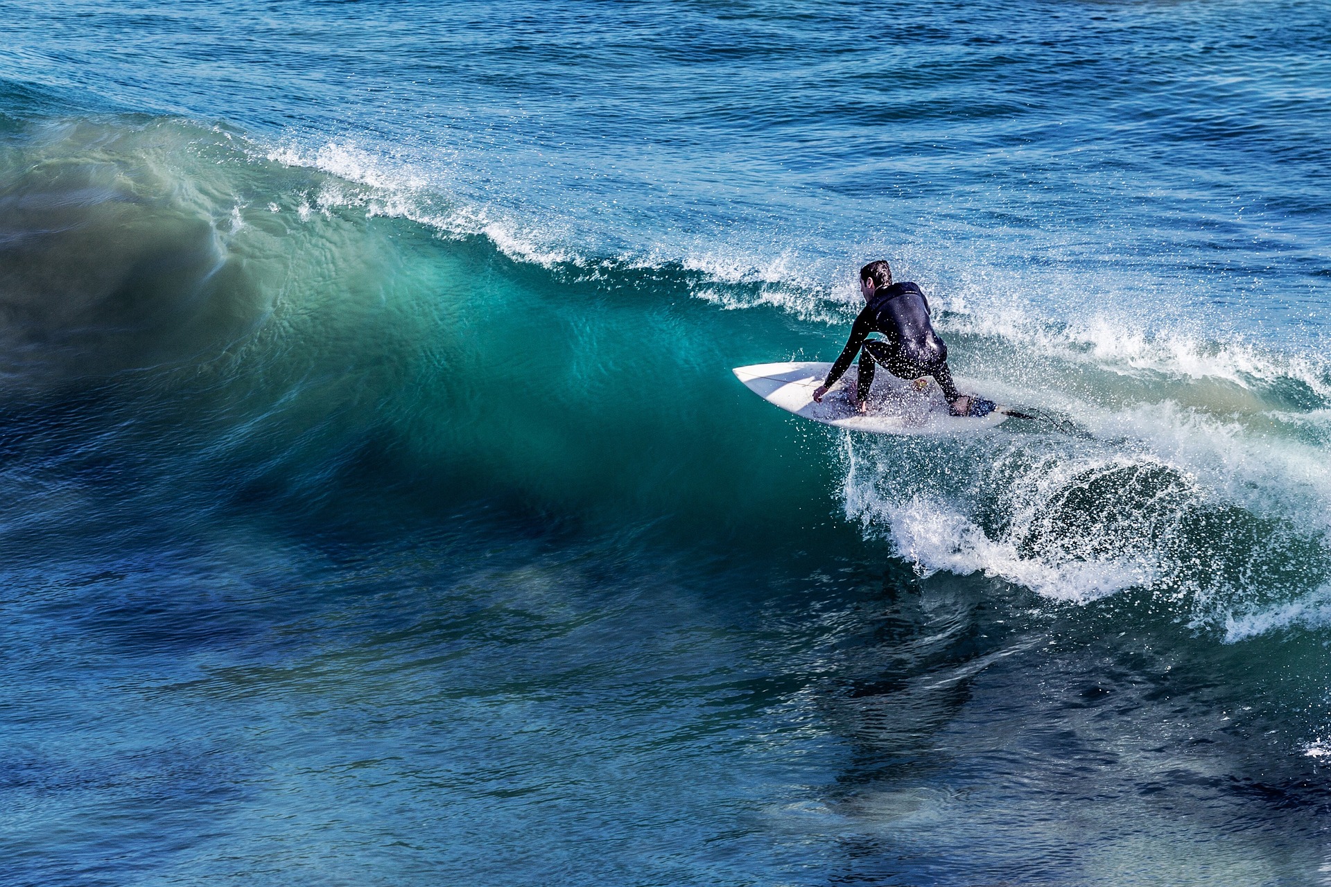 Mick Fanning